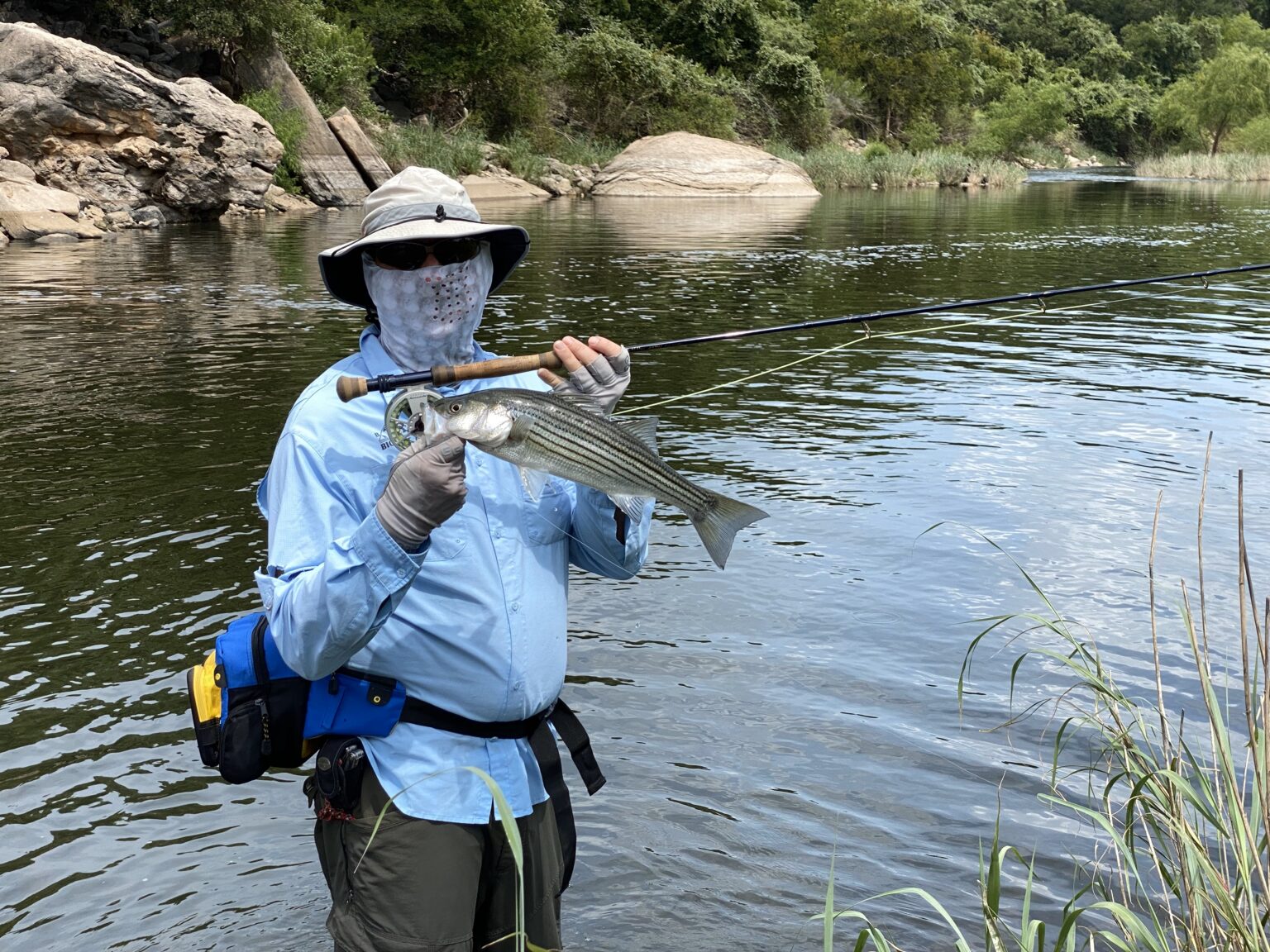 Texas’ White Bass Run Colorado River Land Trust